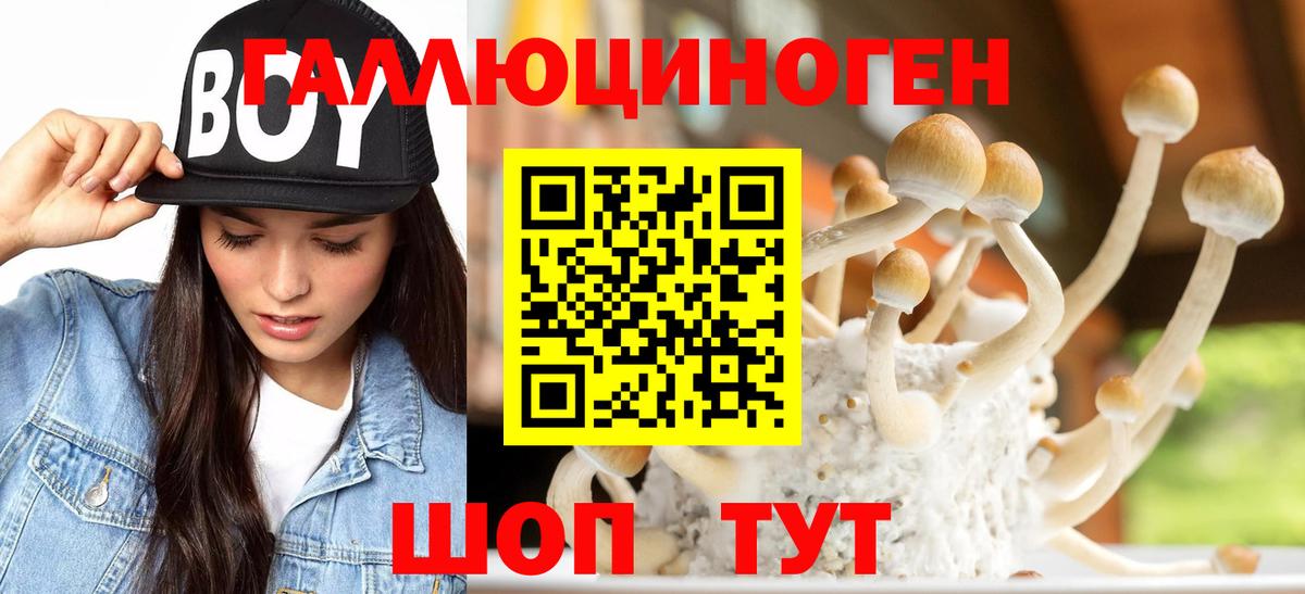 Лиски  Галлюциногенные грибы прущие грибы  Псилоцибиновые грибы Cubensis  Вход с VPN 